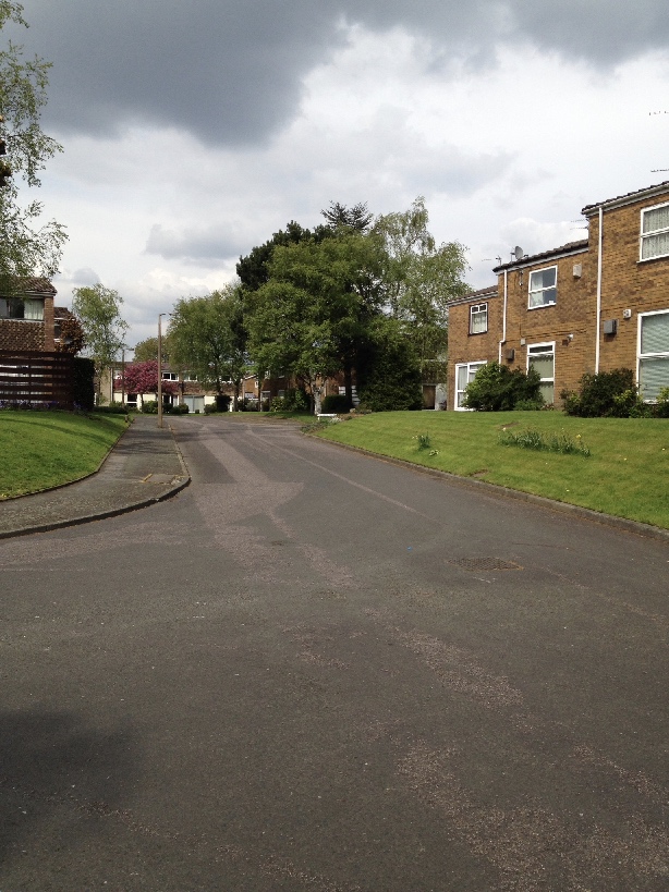 dene park road image 1